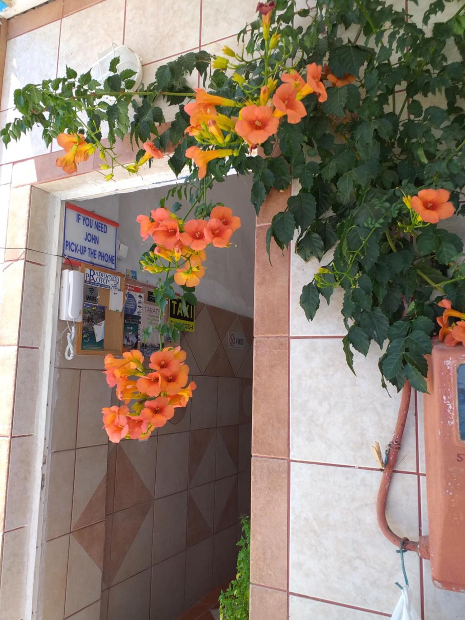 Ladikos Beach Hotel Kardamena (Kos) Exterior foto